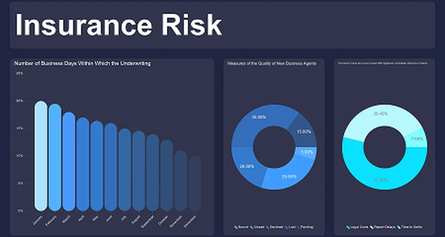 Insurance risk dashboard